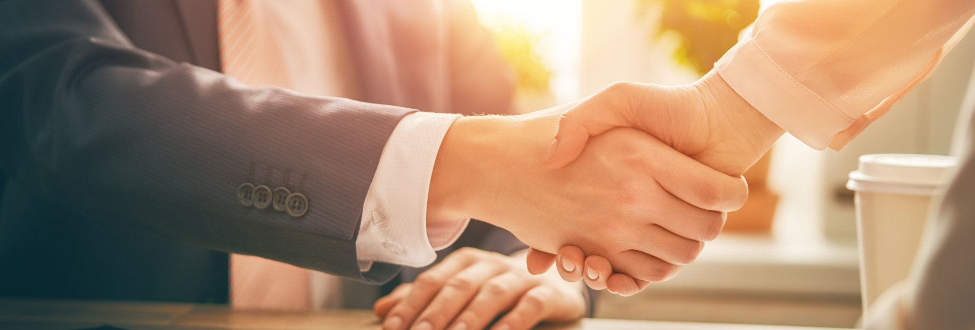 Merger Announcement 